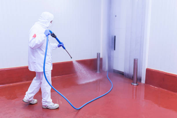 Best Gas Station Cleaning  in San Benito, TX