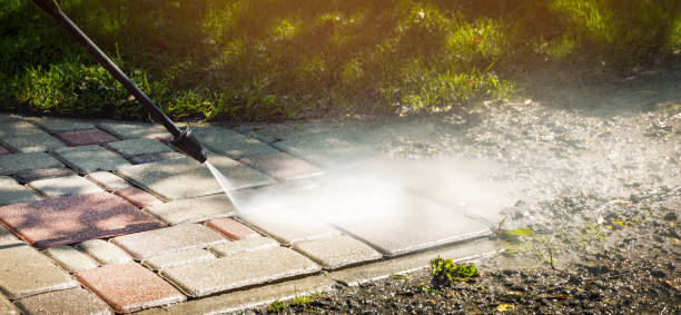 Best Soft Washing  in San Benito, TX