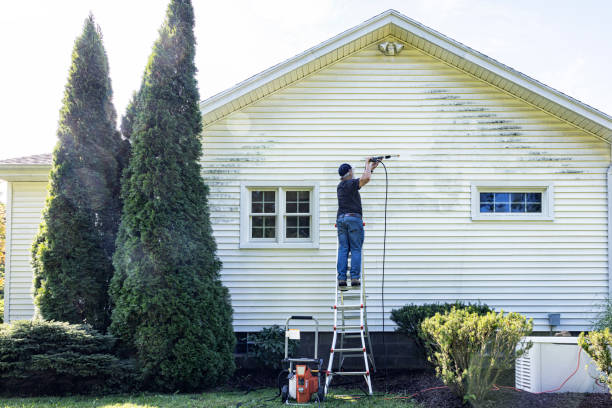 Best Restaurant Pressure Washing  in San Benito, TX